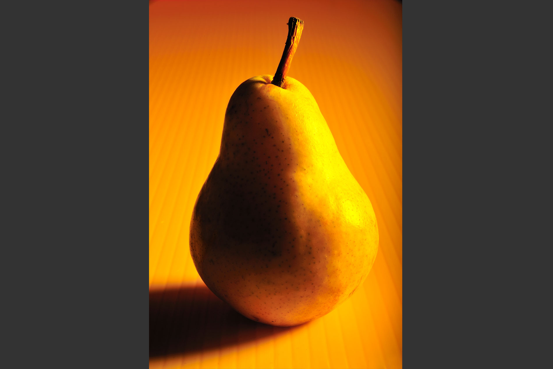 still life study pear
