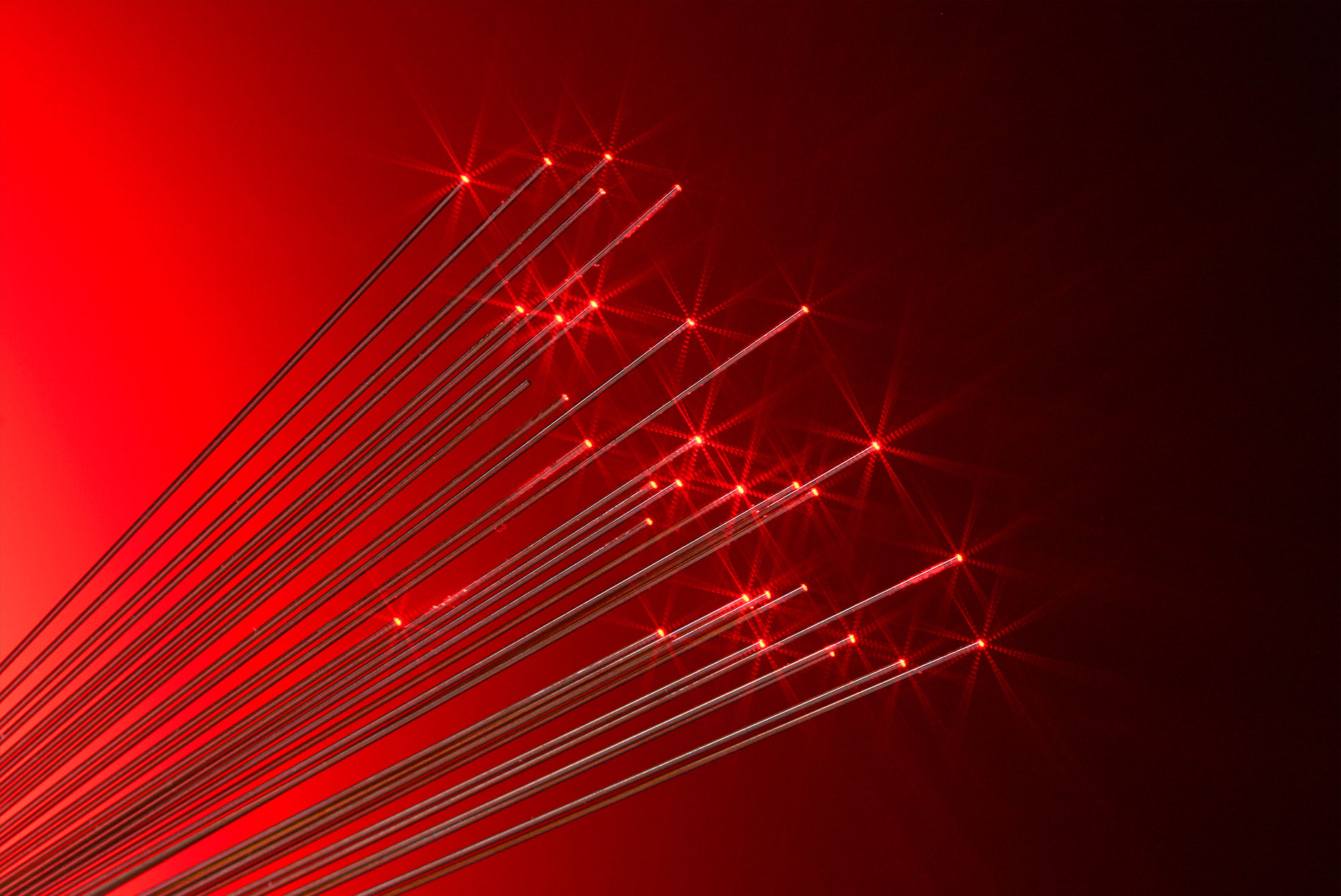 Red fiberoptic tips photo